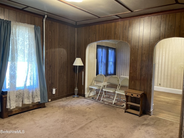 interior space featuring arched walkways, wooden walls, and carpet floors