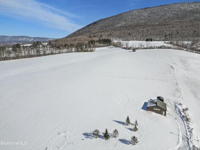 860 Stratton Rd, Williamstown, MA 01267 - photo 62