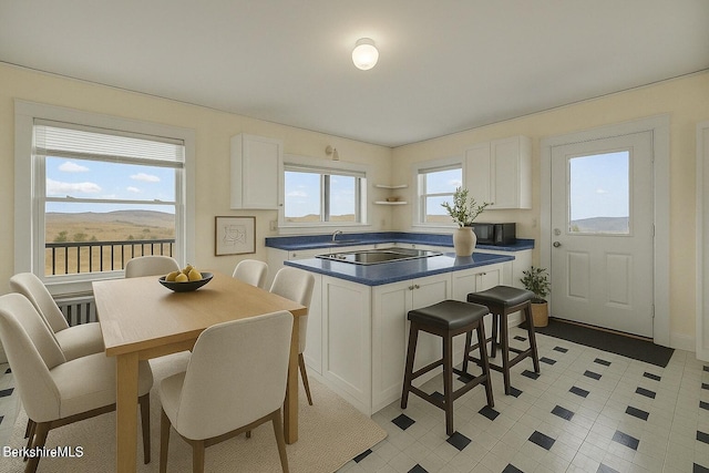 860 Stratton Rd, Williamstown, MA 01267 - kitchen featuring dark countertops, white cabinets, black electric cooktop, a kitchen island, and open shelves