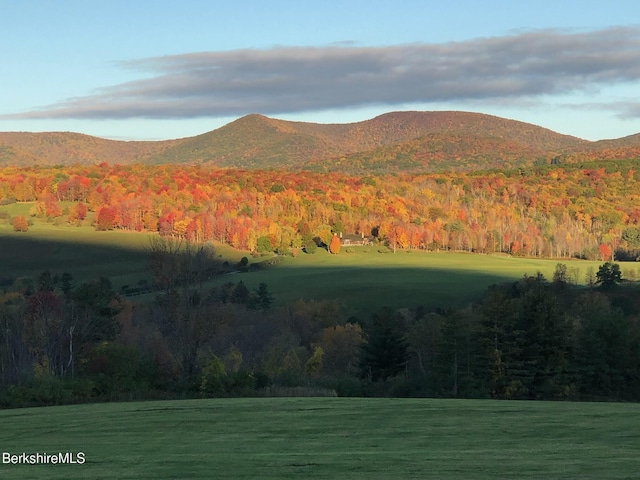 860 Stratton Rd, Williamstown, MA 01267 - view of mountain backdrop featuring a forest
