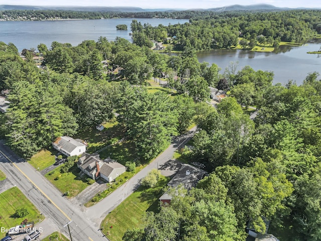 29 Balance Rock Rd, Lanesborough, MA 01237 - photo 37
