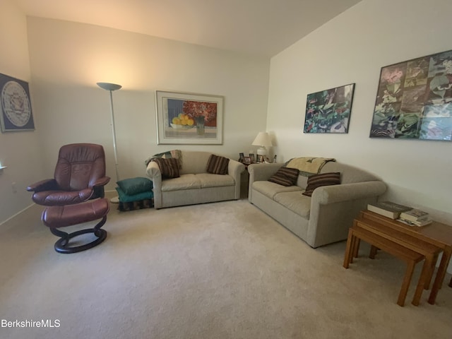 11 Prospect Hill Rd Unit 1, Stockbridge, MA 01262 - view of carpeted living area