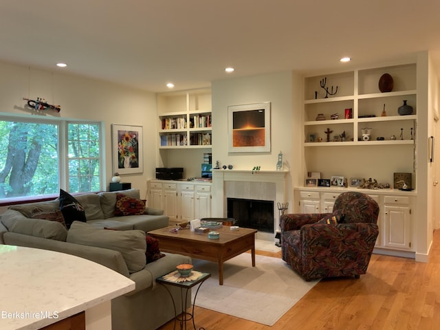 11 Prospect Hill Rd Unit 1, Stockbridge, MA 01262 - living area with light wood-style floors, recessed lighting, a high end fireplace, and built in features
