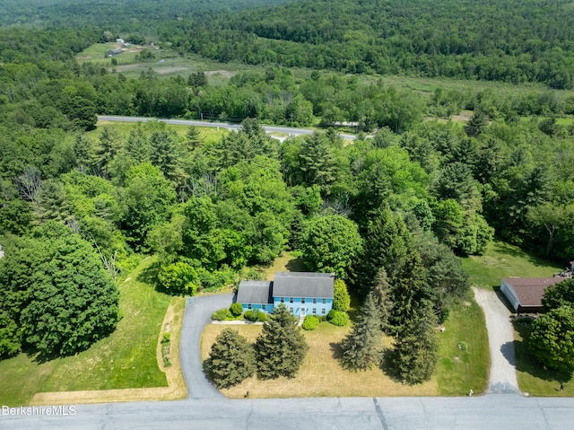 245 Southshire Dr, Bennington, VT 05201 - photo 37