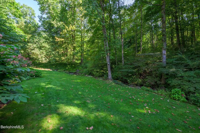 85 E Main St, Stockbridge, MA 01262 - view of green lawn featuring a wooded view