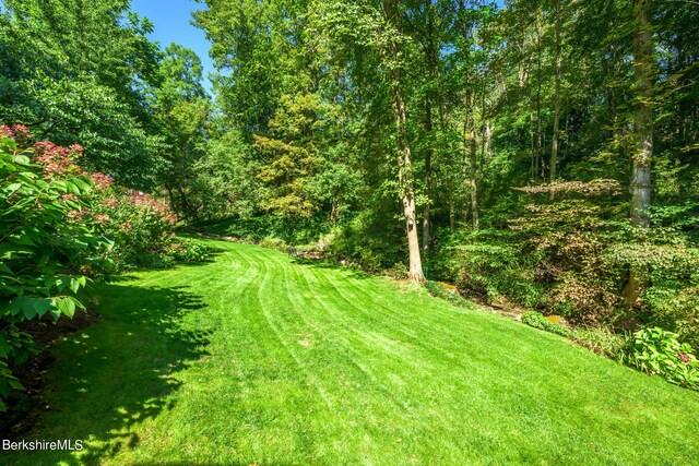 85 E Main St, Stockbridge, MA 01262 - view of green lawn