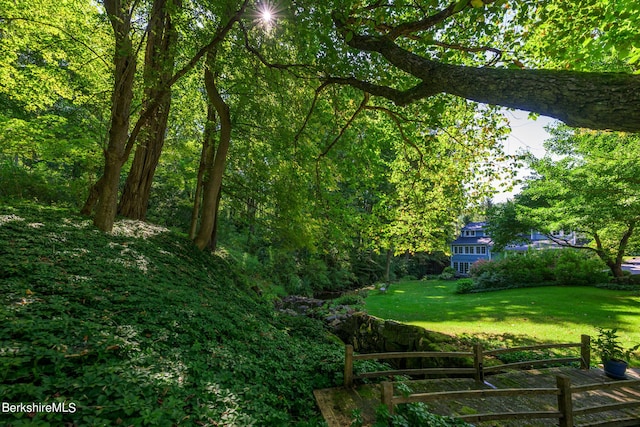 85 E Main St, Stockbridge, MA 01262 - view of green lawn with a forest view
