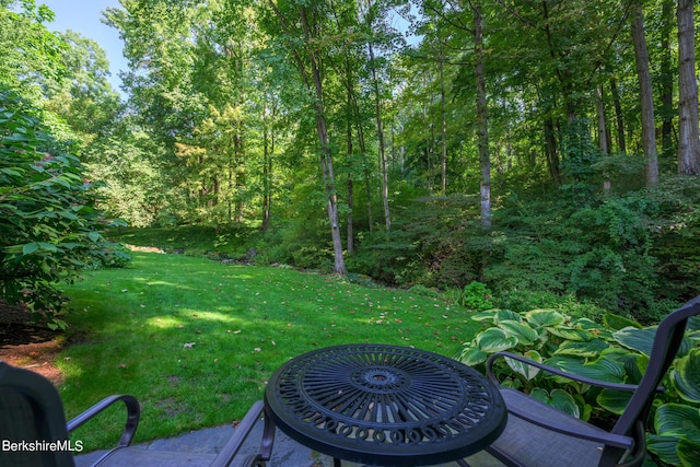 85 E Main St, Stockbridge, MA 01262 - view of green lawn with a forest view
