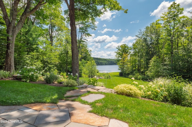 view of home's community featuring a water view and a lawn