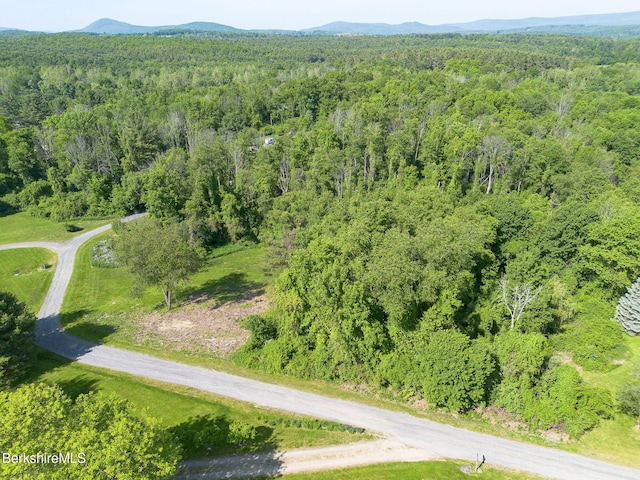 10 Miller View Rd, Egremont, MA 01230