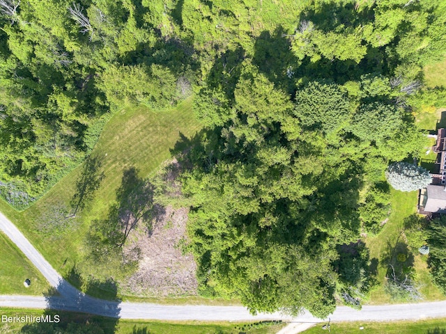 10 Miller View Rd, Egremont, MA 01230