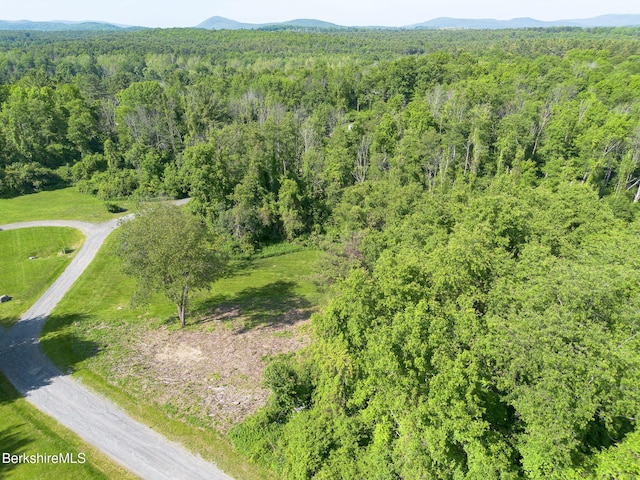 10 Miller View Rd, Egremont, MA 01230