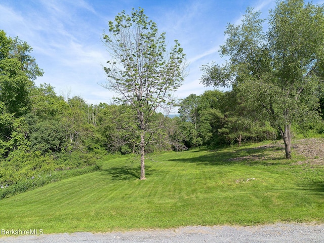 10 Miller View Rd, Egremont, MA 01230