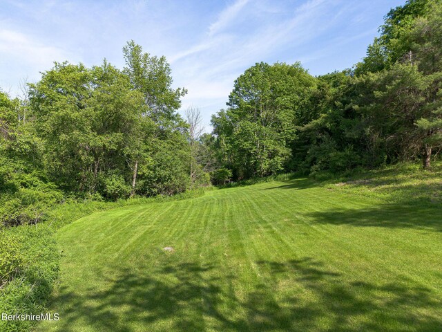 10 Miller View Rd, Egremont, MA 01230