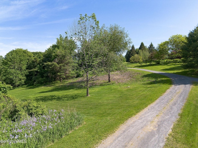 10 Miller View Rd, Egremont, MA 01230