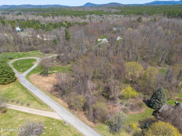 10 Miller View Rd, Egremont, MA 01230
