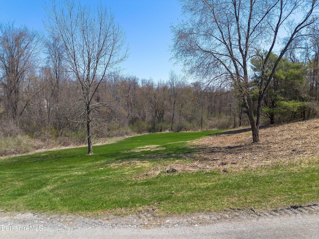 10 Miller View Rd, Egremont, MA 01230