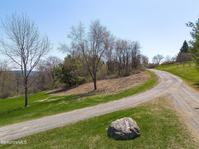 10 Miller View Rd, Egremont, MA 01230