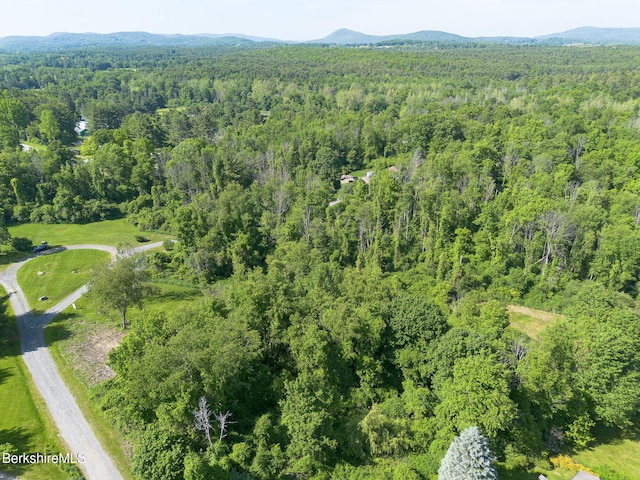 10 Miller View Rd, Egremont, MA 01230