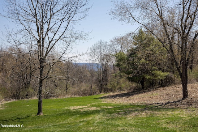 10 Miller View Rd, Egremont, MA 01230