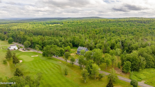 138 Ridge Rd, Worthington, MA 01098 - aerial view of a forest