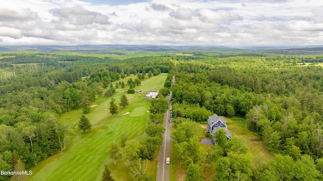 138 Ridge Rd, Worthington, MA 01098 - drone / aerial view of a heavily wooded area