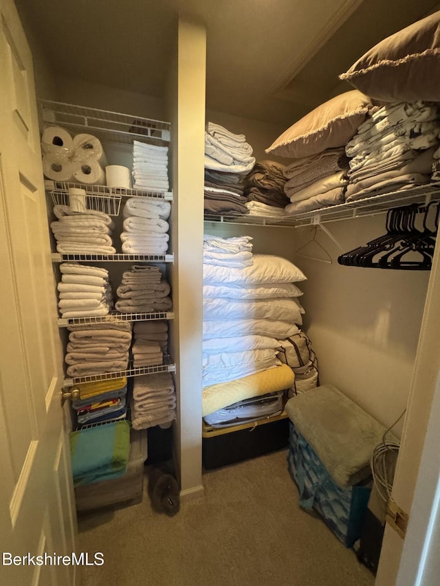 37 Corey Rd Unit 826, Hancock, MA 01237 - walk in closet with carpet floors