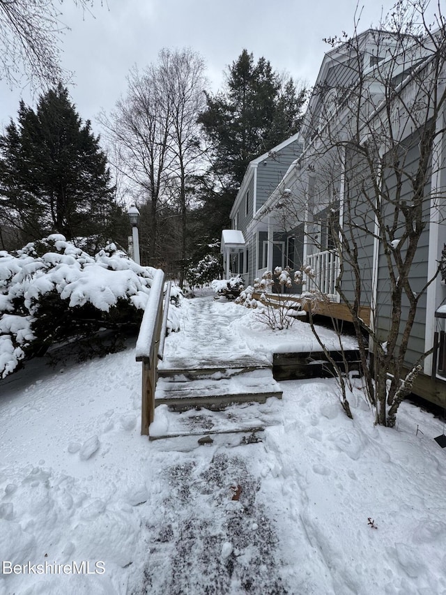 view of yard covered in snow