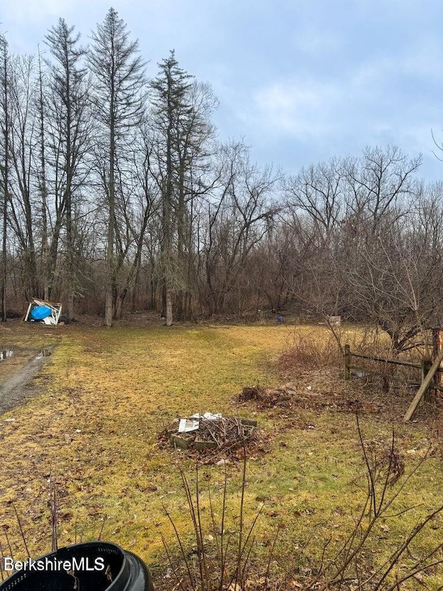 118 Danforth Ave, Pittsfield, MA 01201 - photo 23