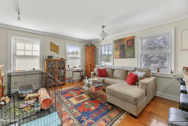 living room with track lighting, wood finished floors, and baseboards