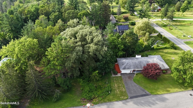 350 Washington Mountain Rd, Dalton, MA 01226 - photo 9