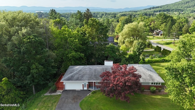 350 Washington Mountain Rd, Dalton, MA 01226 - photo 5
