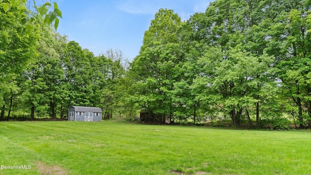 349 New Lenox Rd, Lenox, MA 01240 - view of grassy yard