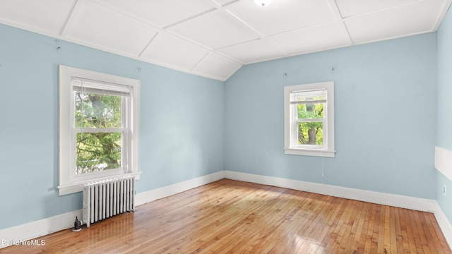 349 New Lenox Rd, Lenox, MA 01240 - empty room featuring radiator heating unit, plenty of natural light, wood-type flooring, baseboards, and vaulted ceiling