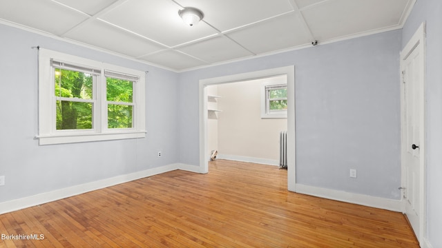 349 New Lenox Rd, Lenox, MA 01240 - spare room with light wood-type flooring, baseboards, radiator heating unit, and crown molding