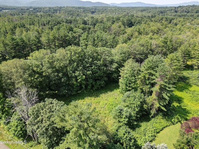 245 Spring St, Lee, MA 01238