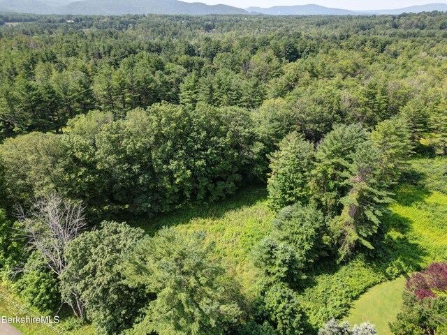 245 Spring St, Lee, MA 01238 - photo 9