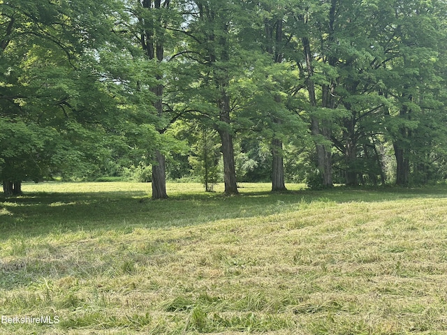 245 Spring St, Lee, MA 01238 - photo 2
