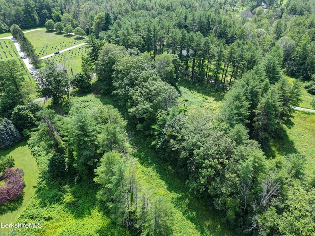 245 Spring St, Lee, MA 01238 - photo 8
