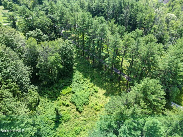 245 Spring St, Lee, MA 01238 - photo 10