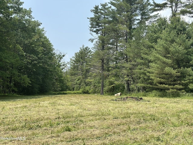 245 Spring St, Lee, MA 01238 - photo 3