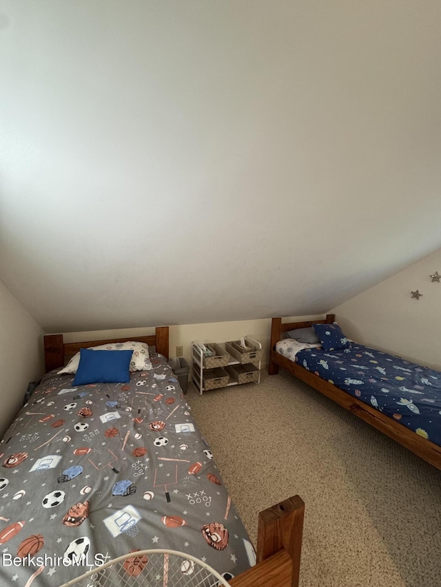 37 Corey Rd Unit 9061, Hancock, MA 01237 - photo 24