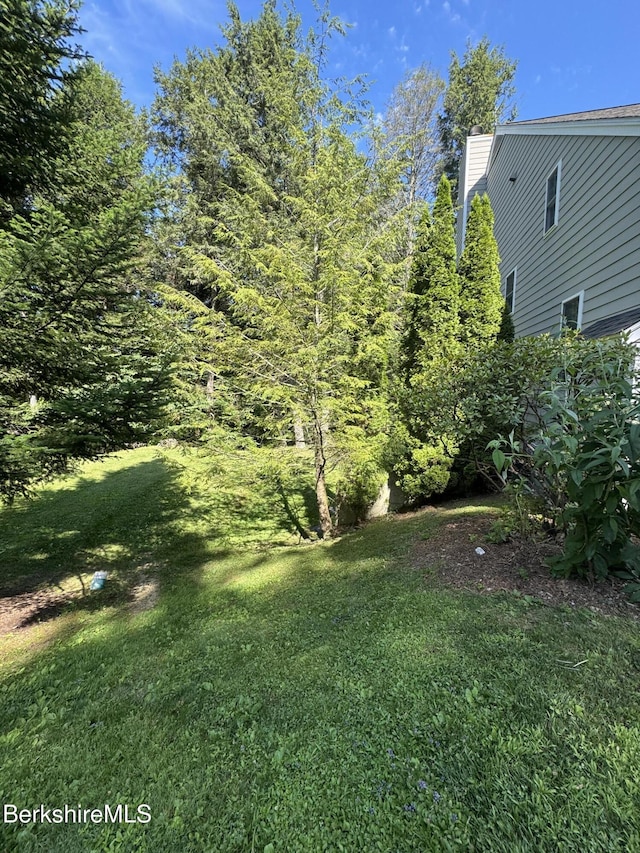 37 Corey Rd Unit 9061, Hancock, MA 01237 - photo 5