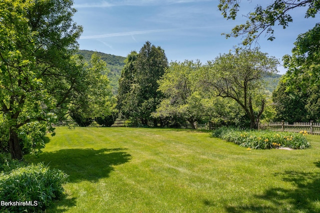 28 Main Rd, Tyringham, MA 01264 - view of yard
