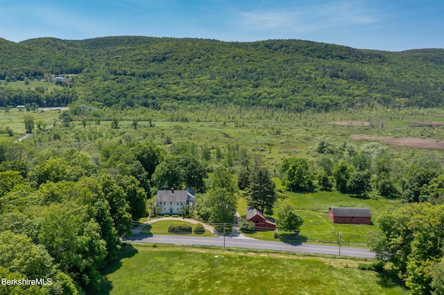 28 Main Rd, Tyringham, MA 01264 - bird's eye view of a forest and a mountain backdrop