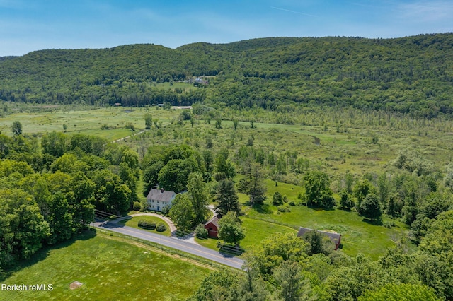 28 Main Rd, Tyringham, MA 01264 - drone / aerial view of a heavily wooded area and a mountain backdrop