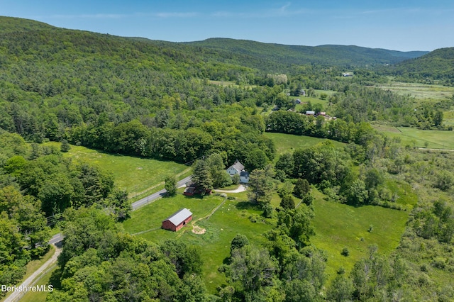 28 Main Rd, Tyringham, MA 01264 - aerial overview of property's location featuring a forest and a mountainous background