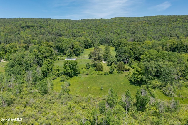 28 Main Rd, Tyringham, MA 01264 - aerial view of property's location featuring a heavily wooded area