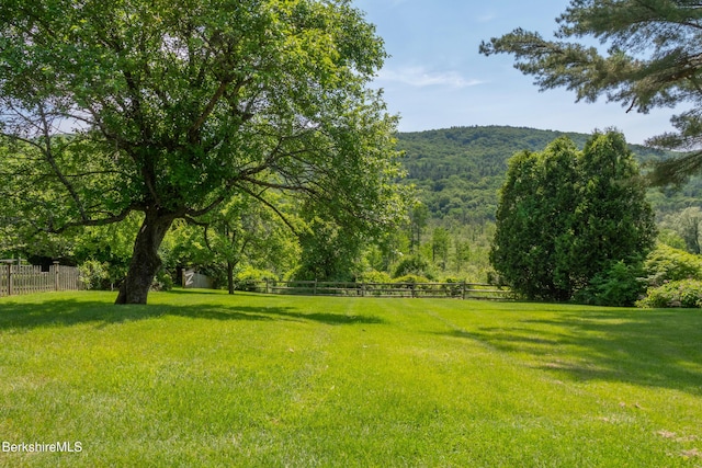 28 Main Rd, Tyringham, MA 01264 - view of yard featuring a forest view