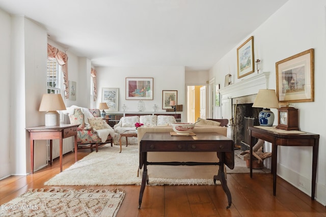 28 Main Rd, Tyringham, MA 01264 - living room featuring hardwood / wood-style flooring and a premium fireplace